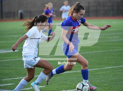 Thumbnail 2 in Morgan @ Coginchaug Regional photogallery.