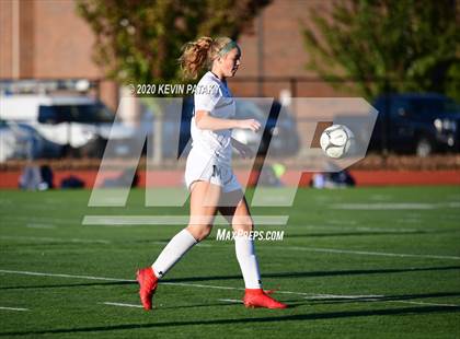 Thumbnail 2 in Morgan @ Coginchaug Regional photogallery.