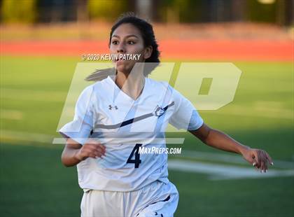 Thumbnail 2 in Morgan @ Coginchaug Regional photogallery.