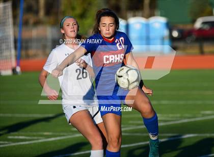 Thumbnail 1 in Morgan @ Coginchaug Regional photogallery.