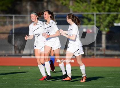Thumbnail 2 in Morgan @ Coginchaug Regional photogallery.