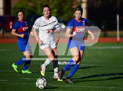 Thumbnail 1 in Morgan @ Coginchaug Regional photogallery.