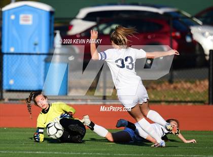 Thumbnail 3 in Morgan @ Coginchaug Regional photogallery.