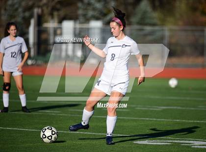 Thumbnail 2 in Morgan @ Coginchaug Regional photogallery.