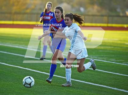 Thumbnail 1 in Morgan @ Coginchaug Regional photogallery.