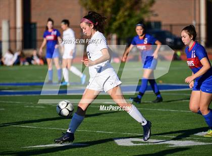 Thumbnail 1 in Morgan @ Coginchaug Regional photogallery.
