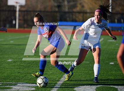 Thumbnail 2 in Morgan @ Coginchaug Regional photogallery.