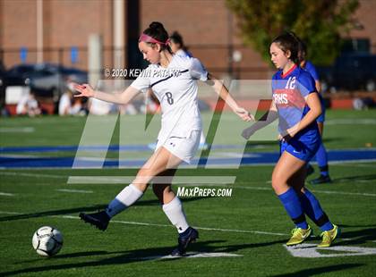 Thumbnail 3 in Morgan @ Coginchaug Regional photogallery.