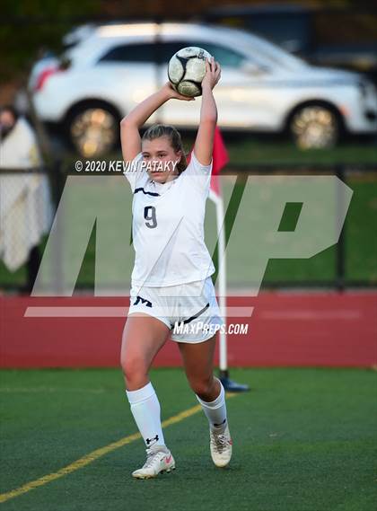 Thumbnail 1 in Morgan @ Coginchaug Regional photogallery.