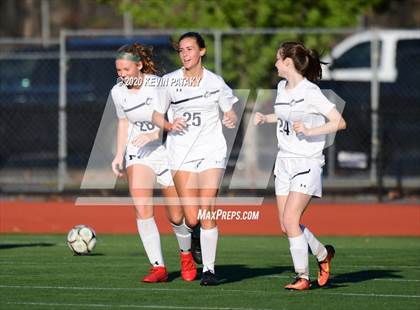 Thumbnail 1 in Morgan @ Coginchaug Regional photogallery.