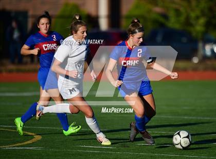 Thumbnail 2 in Morgan @ Coginchaug Regional photogallery.