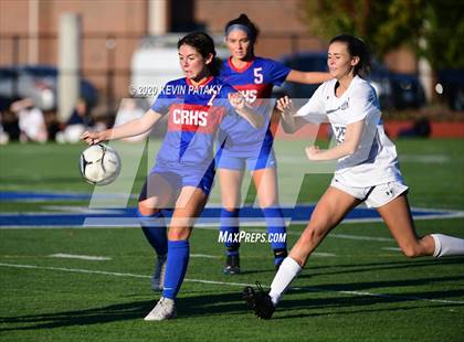 Thumbnail 1 in Morgan @ Coginchaug Regional photogallery.