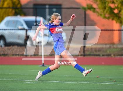 Thumbnail 2 in Morgan @ Coginchaug Regional photogallery.