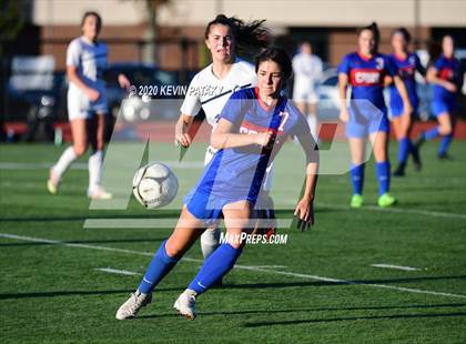 Thumbnail 2 in Morgan @ Coginchaug Regional photogallery.
