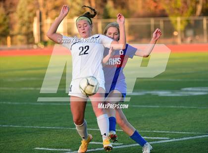 Thumbnail 1 in Morgan @ Coginchaug Regional photogallery.