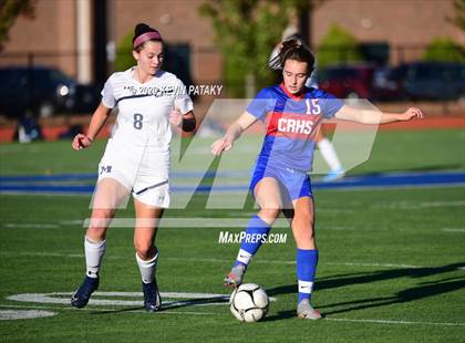Thumbnail 2 in Morgan @ Coginchaug Regional photogallery.