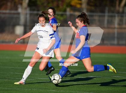 Thumbnail 3 in Morgan @ Coginchaug Regional photogallery.