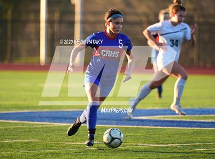 Thumbnail 1 in Morgan @ Coginchaug Regional photogallery.