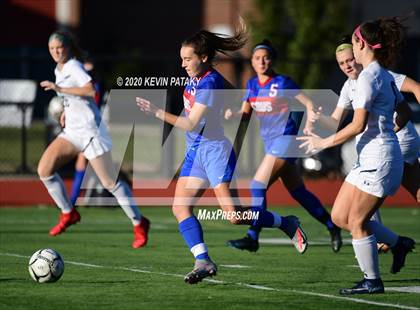 Thumbnail 2 in Morgan @ Coginchaug Regional photogallery.