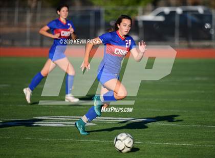 Thumbnail 1 in Morgan @ Coginchaug Regional photogallery.