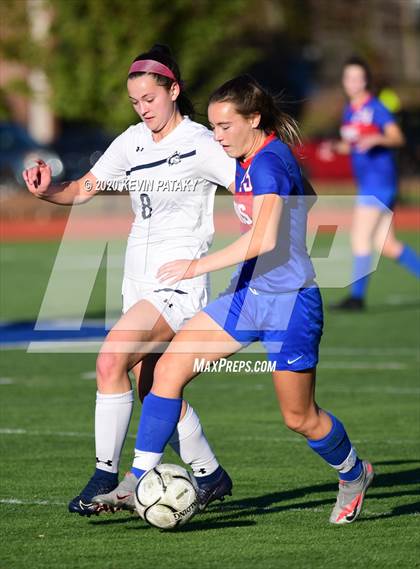 Thumbnail 1 in Morgan @ Coginchaug Regional photogallery.
