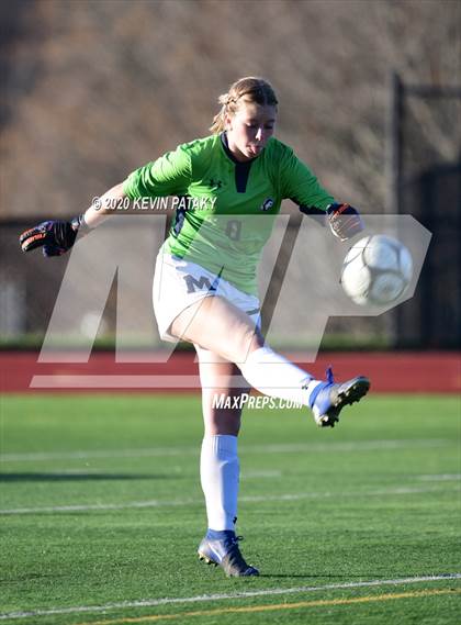 Thumbnail 3 in Morgan @ Coginchaug Regional photogallery.