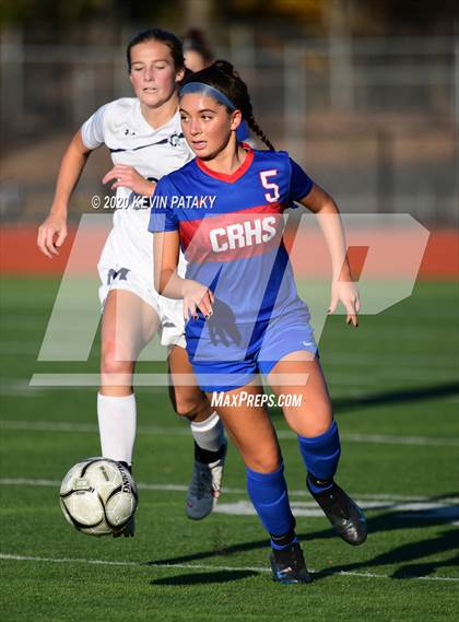 Thumbnail 1 in Morgan @ Coginchaug Regional photogallery.