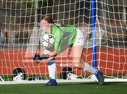 Thumbnail 1 in Morgan @ Coginchaug Regional photogallery.