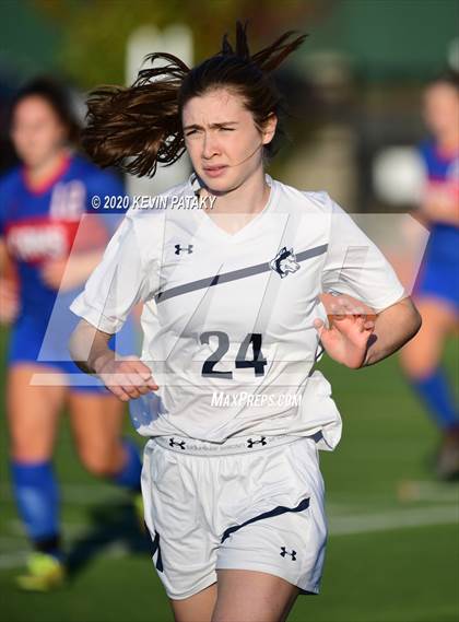 Thumbnail 2 in Morgan @ Coginchaug Regional photogallery.