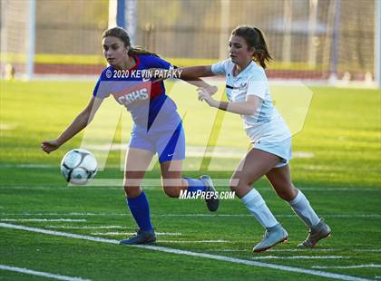 Thumbnail 1 in Morgan @ Coginchaug Regional photogallery.