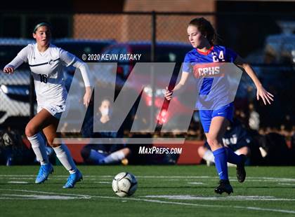 Thumbnail 1 in Morgan @ Coginchaug Regional photogallery.