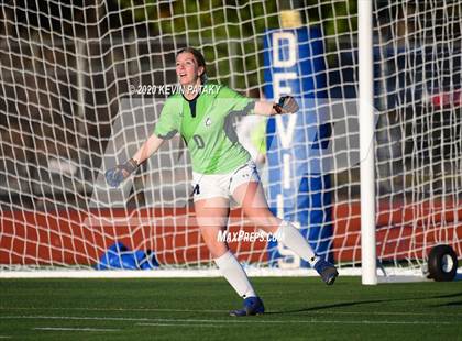 Thumbnail 1 in Morgan @ Coginchaug Regional photogallery.