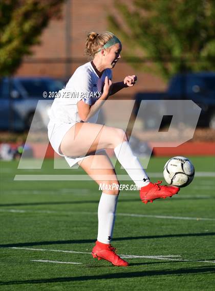Thumbnail 1 in Morgan @ Coginchaug Regional photogallery.
