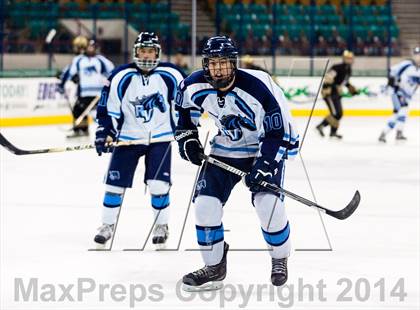 Thumbnail 3 in Ralston Valley vs. Monarch (CHSAA Final) photogallery.