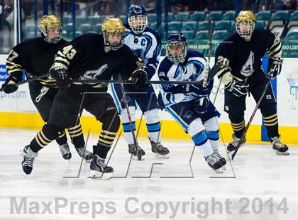 Thumbnail 1 in Ralston Valley vs. Monarch (CHSAA Final) photogallery.