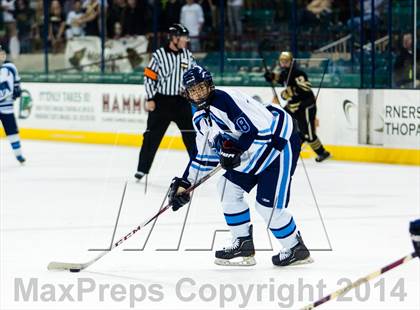 Thumbnail 1 in Ralston Valley vs. Monarch (CHSAA Final) photogallery.