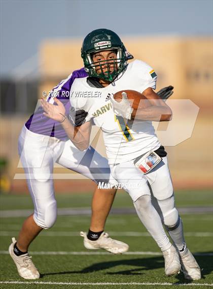 Thumbnail 1 in Pampa @ Canyon photogallery.
