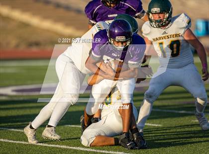 Thumbnail 3 in Pampa @ Canyon photogallery.