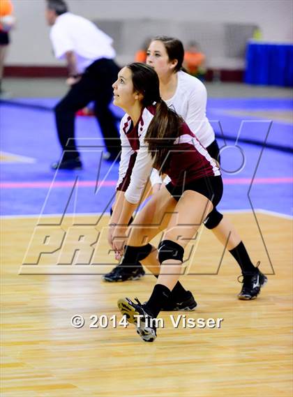 Thumbnail 1 in Cherry Creek vs. Chatfield (CHSAA 5A Playoff) photogallery.