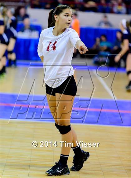 Thumbnail 1 in Cherry Creek vs. Chatfield (CHSAA 5A Playoff) photogallery.
