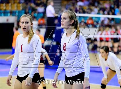 Thumbnail 1 in Cherry Creek vs. Chatfield (CHSAA 5A Playoff) photogallery.