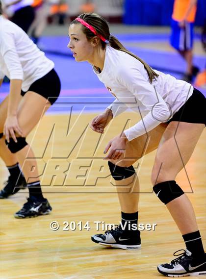 Thumbnail 1 in Cherry Creek vs. Chatfield (CHSAA 5A Playoff) photogallery.