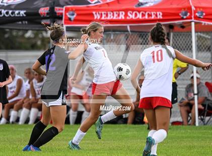 Thumbnail 2 in Weber @ Riverton photogallery.