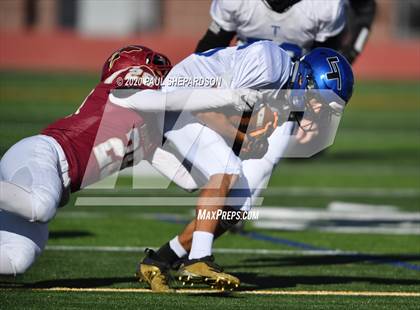Thumbnail 2 in Longmont @ Ponderosa photogallery.