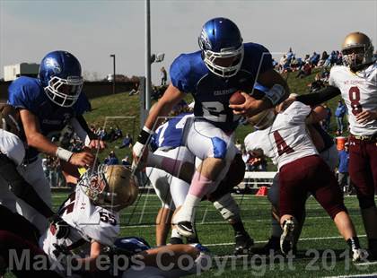 Thumbnail 1 in Mt Carmal @ Columbia (IHSA 4A Playoffs) photogallery.