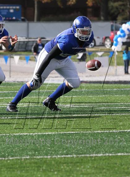 Thumbnail 1 in Mt Carmal @ Columbia (IHSA 4A Playoffs) photogallery.
