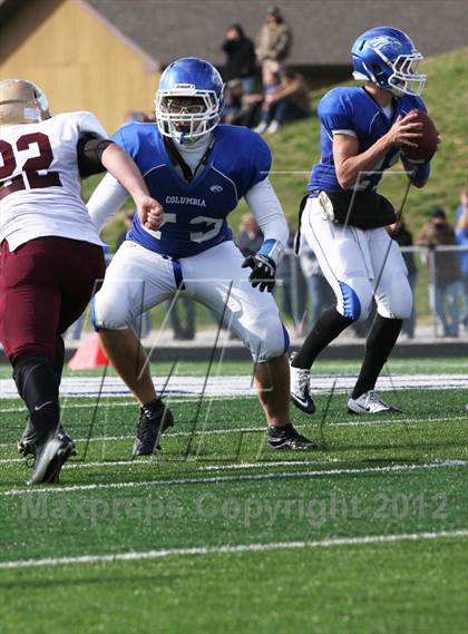 Thumbnail 1 in Mt Carmal @ Columbia (IHSA 4A Playoffs) photogallery.