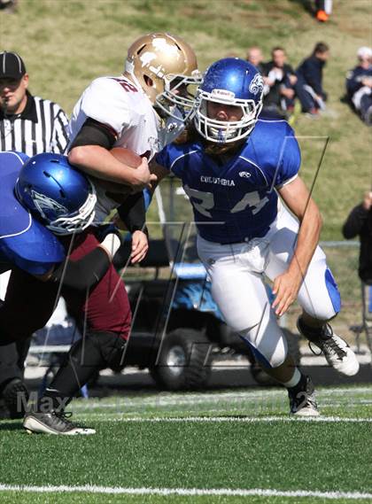Thumbnail 1 in Mt Carmal @ Columbia (IHSA 4A Playoffs) photogallery.