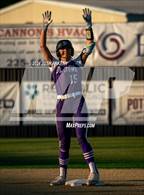 Photo from the gallery "Dutchtown @ St. Amant"