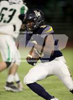 Photo from the gallery "Amphitheater @ Flowing Wells"